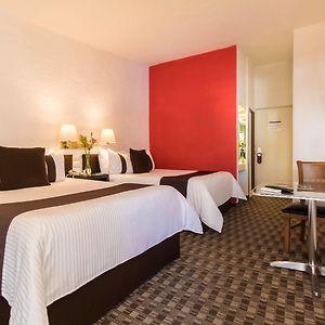 Se Permiten Perros Habitación